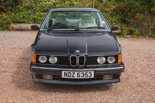 1989 BMW 635CSi (E24) zum Verkauf (Bild 129 von 234)