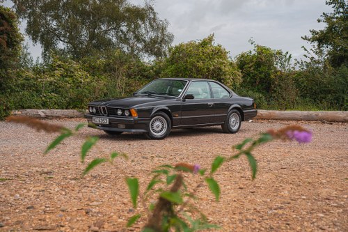 1989 BMW 635CSi (E24) zum Verkauf (Bild 121 von 234)