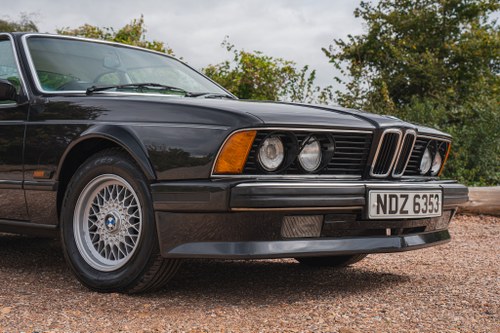 1989 BMW 635CSi (E24) zum Verkauf (Bild 125 von 234)