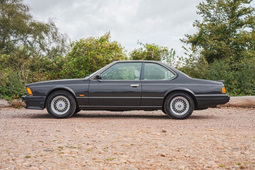 1989 BMW 635CSi (E24) zum Verkauf (Bild 13 von 234)