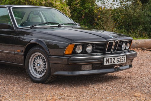 1989 BMW 635CSi (E24) zum Verkauf (Bild 124 von 234)