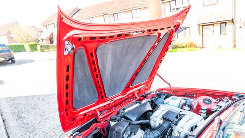 1989 BMW 316i à vendre (picture 116 of 179)