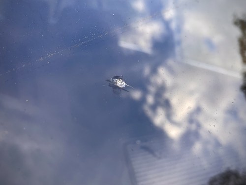 1985 BMW 528i SE (E28) In vendita (immagine 67 di 98)