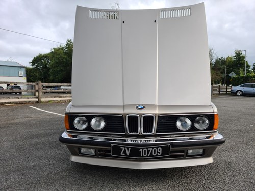 1985 BMW 635 CSI In vendita (immagine 102 di 145)