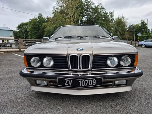 1985 BMW 635 CSI In vendita (immagine 4 di 145)