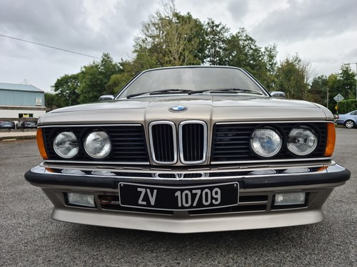 1985 BMW 635 CSI In vendita (immagine 5 di 145)