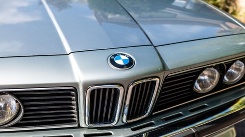 1980 BMW 635 CSI à vendre (picture 52 of 198)