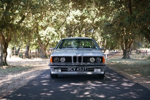 1979 BMW 635 CSI Manual For Sale (picture 5 of 140)