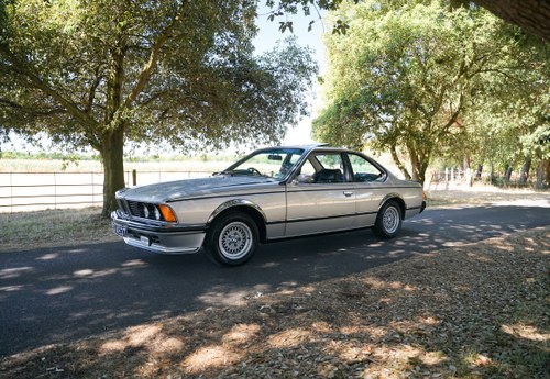 1979 BMW 635 CSI Manual For Sale (picture 8 of 140)
