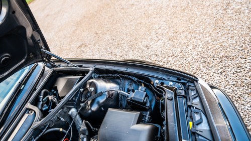 NO RESERVE - 2001 BMW 318 SE Auto à venda (imagem 147 de 178)