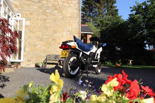 1989 BMW K100 RS Te koop (foto 19 van 103)