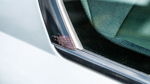 2006 BMW M6 (E63) In vendita (immagine 133 di 188)