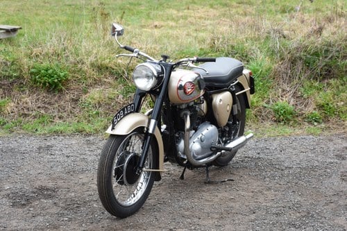 1961 BSA A10 Golden Flash 650 à vendre (picture 2 of 91)