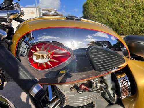1964 BSA A65DC Lightning Clubman à vendre (picture 26 of 63)