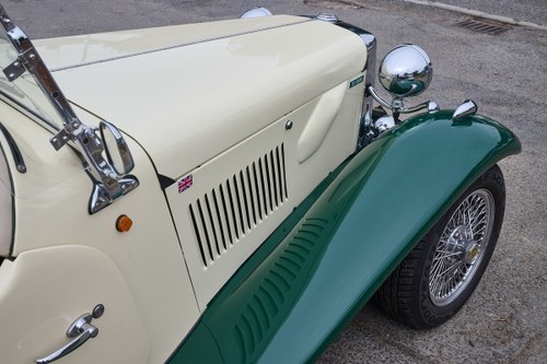 2006 TD Cars 2000 Silverstone à vendre (picture 79 of 174)