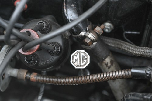 1954 MG TF Midget à vendre (picture 181 of 258)