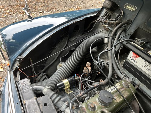 1967 Morris Minor 1000 Deluxe Saloon zum Verkauf (Bild 293 von 344)