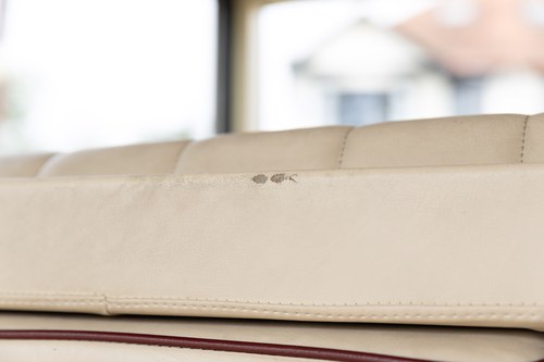 1991 Car Bodies Landaulette In vendita (immagine 81 di 201)