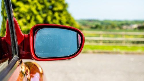 1999 London Taxis International TX1 Millennium edition En venta (imagen 122 de 184)