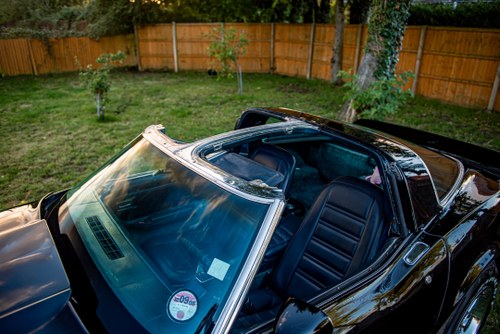 1978 Chevrolet Corvette C3 25th Anniversary T-Top zum Verkauf (Bild 29 von 50)