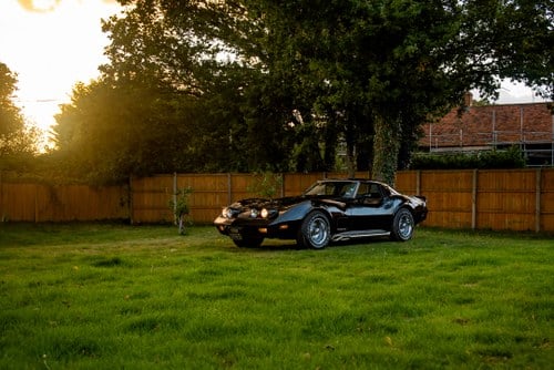 1978 Chevrolet Corvette C3 25th Anniversary T-Top zum Verkauf (Bild 9 von 50)