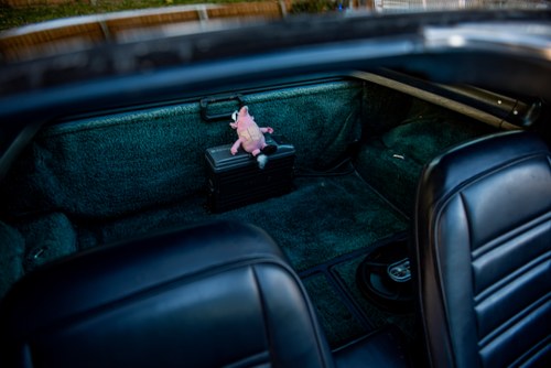 1978 Chevrolet Corvette C3 25th Anniversary T-Top zum Verkauf (Bild 32 von 50)