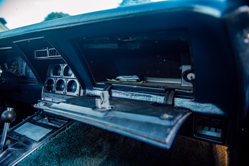 1978 Chevrolet Corvette C3 25th Anniversary T-Top zum Verkauf (Bild 17 von 50)