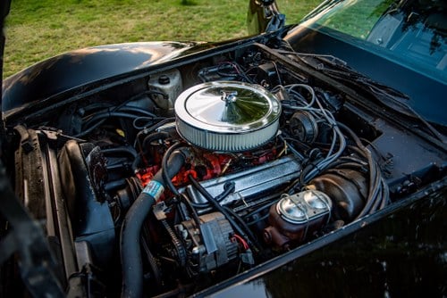 1978 Chevrolet Corvette C3 25th Anniversary T-Top zum Verkauf (Bild 36 von 50)