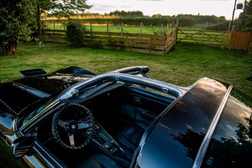 1978 Chevrolet Corvette C3 25th Anniversary T-Top zum Verkauf (Bild 30 von 50)