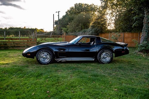 1978 Chevrolet Corvette C3 25th Anniversary T-Top zum Verkauf (Bild 3 von 50)