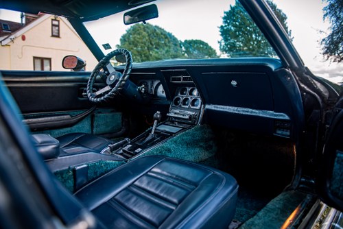 1978 Chevrolet Corvette C3 25th Anniversary T-Top zum Verkauf (Bild 15 von 50)