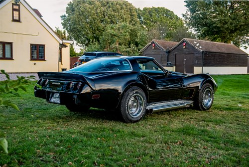 1978 Chevrolet Corvette C3 25th Anniversary T-Top zum Verkauf (Bild 6 von 50)