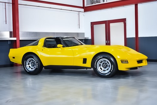 NO RESERVE - 1980 Chevrolet Corvette C3 Targa (LHD) à vendre (picture 8 of 77)