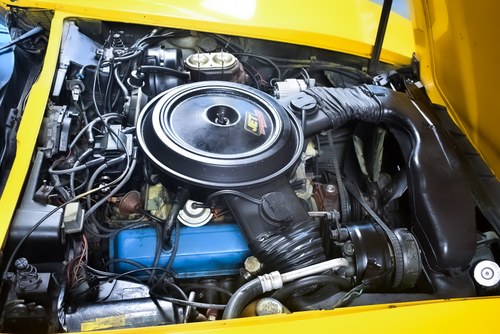 NO RESERVE - 1980 Chevrolet Corvette C3 Targa (LHD) à vendre (picture 73 of 77)