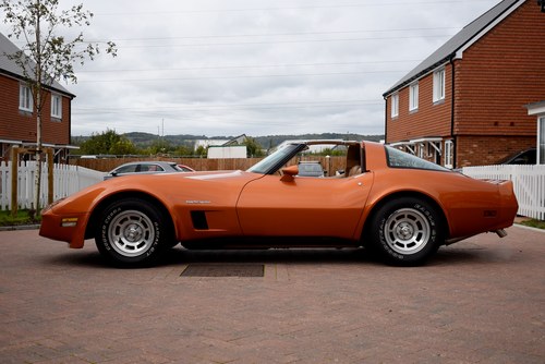 1982 Chevrolet Corvette (C3) Coupe For Sale (picture 8 of 152)