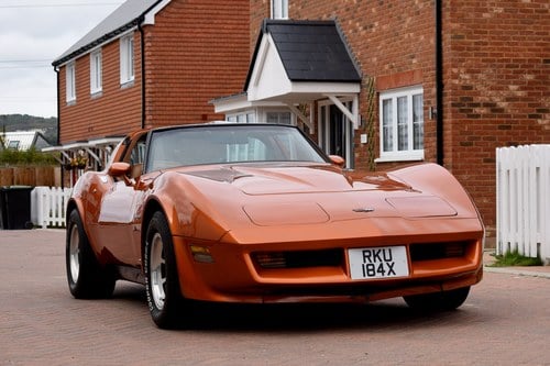 1982 Chevrolet Corvette (C3) Coupe For Sale (picture 9 of 152)