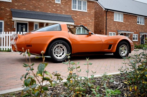 1982 Chevrolet Corvette (C3) Coupe For Sale (picture 16 of 152)