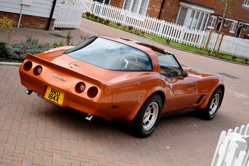 1982 Chevrolet Corvette (C3) Coupe For Sale (picture 15 of 152)