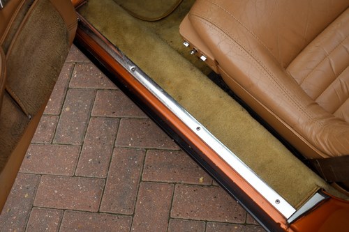 1982 Chevrolet Corvette (C3) Coupe For Sale (picture 63 of 152)