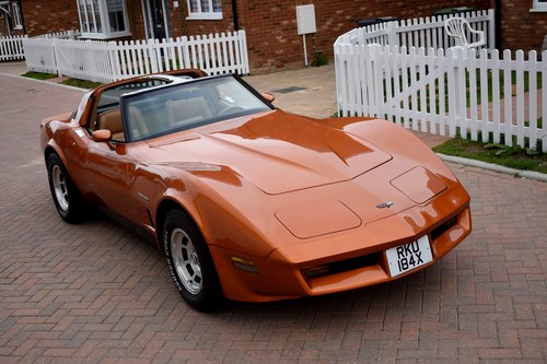 1982 Chevrolet Corvette (C3) Coupe For Sale (picture 12 of 152)
