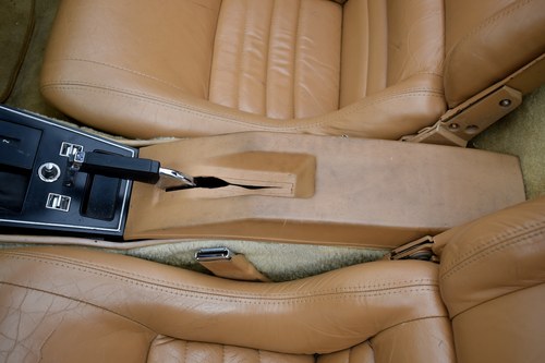 1982 Chevrolet Corvette (C3) Coupe For Sale (picture 49 of 152)