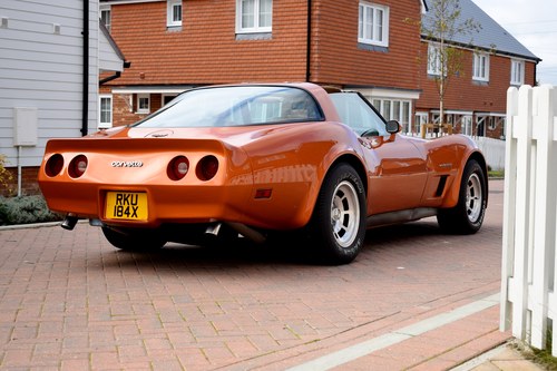 1982 Chevrolet Corvette (C3) Coupe For Sale (picture 10 of 152)