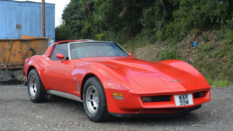 RESERVE LOWERED - 1981 Chevrolet Corvette For Sale (picture 1 of 178)