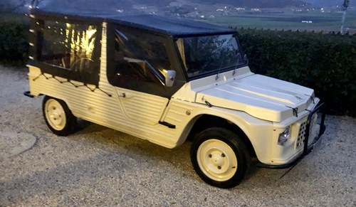 1975 Citroën Méhari In vendita (immagine 5 di 91)