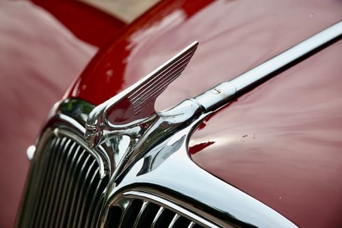 1953 Citroen Traction Big 15 For Sale (picture 78 of 136)