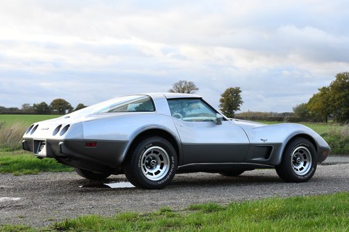 1978 Corvette C3 Targa 25th Anniversary Edition - 11063261957 zum Verkauf (Bild 18 von 108)