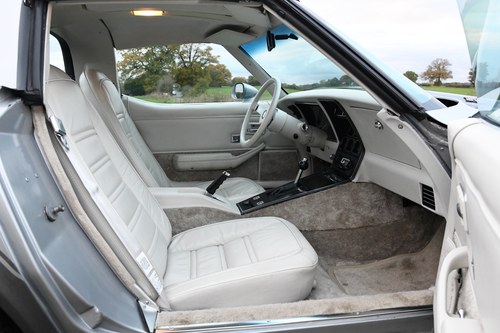 1978 Corvette C3 Targa 25th Anniversary Edition - 11063261957 zum Verkauf (Bild 34 von 108)