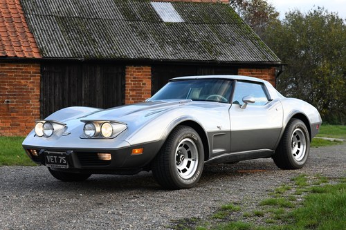 1978 Corvette C3 Targa 25th Anniversary Edition - 11063261957 zum Verkauf (Bild 9 von 108)