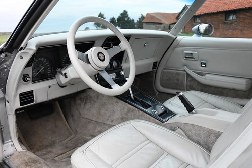 1978 Corvette C3 Targa 25th Anniversary Edition - 11063261957 zum Verkauf (Bild 37 von 108)