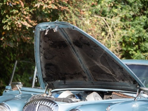 1968 Daimler 250 V8 à vendre (picture 211 of 303)